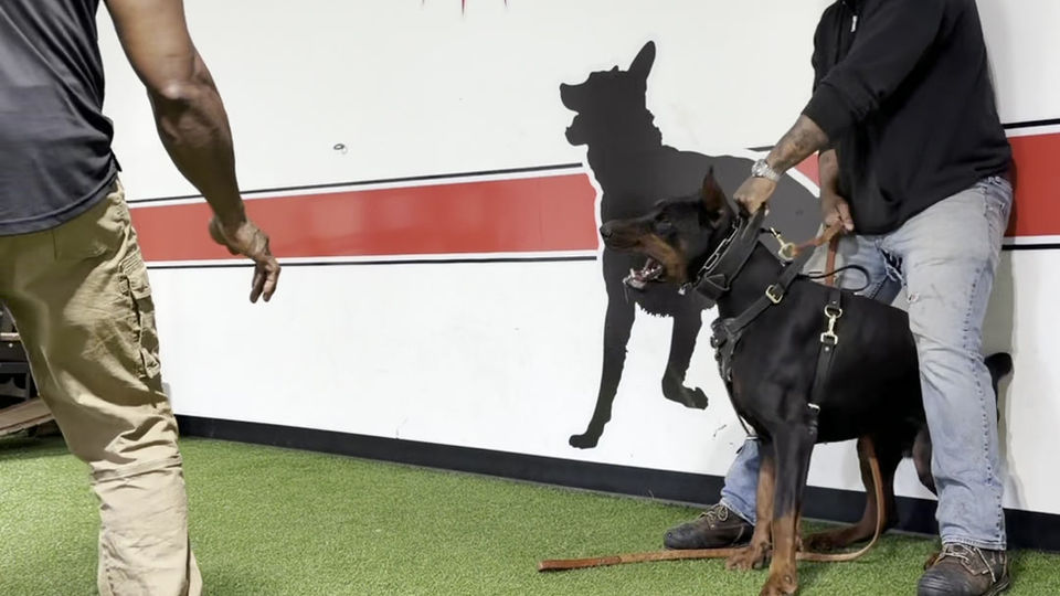 Video Nov 23 2025, 9 25 21 PM